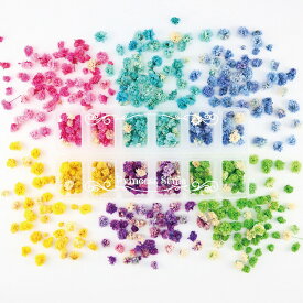 ドライフラワー レジン かすみ草 咲いた花 パーツ 封入 花 ハンドメイド用 12マスケース入り 花頭 6色/セット 【 花材 ヘッド カスミソウ かすみそう 小分け 素材 ハーバリウム レジン材料 レジン素材 】