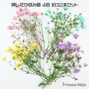 ݑ  lC W 4FZbg y JX~\E  ݂  lC W f ԑf  ANZT[ p[c  ԍ p[c Wp[c W