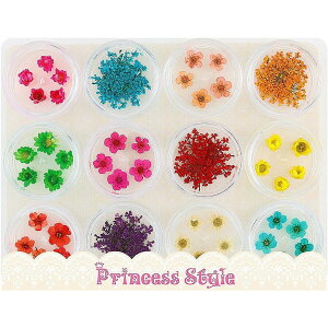 hCt[ ł܂ [Xt[ X^[t[ W lC A\[gZbg y n[oE{[y }Z  ԍ ޗ  f  ȉ n[oE nh