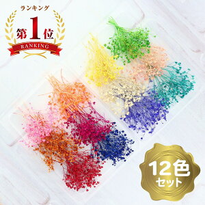 ݑ hCt[ ~j 12F Zbg y n[oE{[y W f ԑf  W ANZT[ p[c  ԍ p[c Wp[c Wޗ Wf