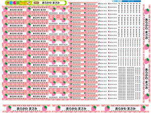 �����O�V�[�� �ϐ� �h�� �ő�255���I�Ȃ܂��V�[�� ���Ȃ܂��V�[�� ���Ȃ܂����[�� ���O�V�[�� �l�[�� �ϐ� �A�C�����s�v ���� ���̎q �j�̎q �V���v�� ���w�� ���w���� �ۈ牀 �c�t�� ������