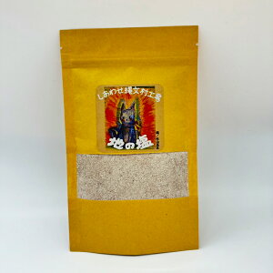 【送料無料】地の塩 130g還元塩 酸化還元力 ミネラル 天然塩 自然塩 天日塩 マグマ岩塩 竹塩 調味料 塩 食塩 健康