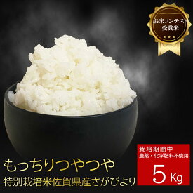 【令和5年度産 お米 コンテスト 受賞米】完全 無農薬 特別栽培米 さがびより 5kg 有機肥料100％ 米 佐賀県産 もちもち つやつや マイスター推薦 穀物検定協会食味 ランキング 13年連続特A 評価 仕送り 高級 新米 しもむら農園