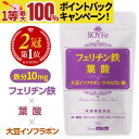 楽天スーパーSALE【楽天1位】 鉄分 サプリ フェリチン鉄 葉酸 大豆イソフラボン サプリメント 鉄分補給 不足 マルチビタミン ビタミン ミネラル 鉄分サプリ 葉酸サプリ 鉄サプリ 健康 効果 市販 お試し オススメ 栄養機能食品 国産 日本製 30~60日分 送料無料