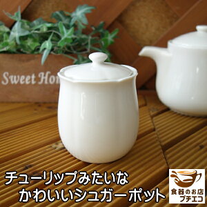 킯 `[bv^ VK[|bg  250ml W H@Ή Z {     LjX^[ ۑe k 킢 JCC  lC 