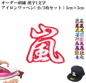 [ 󒍐Y ] I[_[  1 hJ AC ڒ AbvP ( /3 Zbg ) | 傫  ڈ 傫 ~j  ct ۈ牀 wZ w nhCh  G{ A