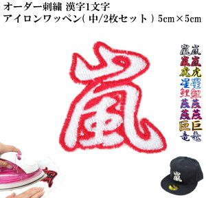 [ 󒍐Y ] I[_[  1 hJ AC ڒ AbvP ( /2 Zbg ) | 傫  ڈ 傫 ~j  ct ۈ牀 wZ w nhCh  G{ A