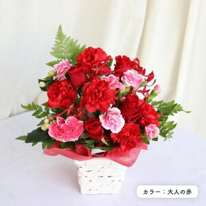 3FIׂ o G߂̂ oXPbg AWg t[ꋉZ\m  bh sN CG[