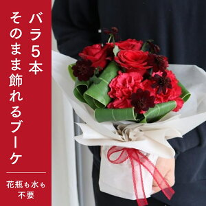 ̂܂܏u[P o5{  ԕrE炸 NX}X Mtg v[g ؍ av[g a t[ ԑ   e j t[Mtg