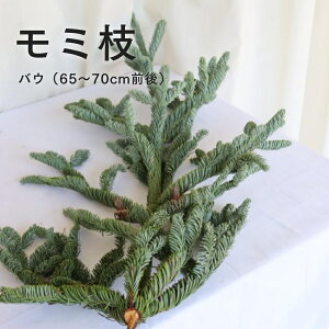 ~}ioEEj1{ {iNX}Xԍ [X XbO CeA