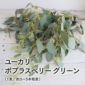  ؂ [J |vXx[ O[ 1 AW u[P ԑ [X ԍ (AeBOA)