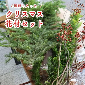 NX}Xԍ6Zbg q Rjt@[u[ACX TLC Rbgt[ qo ݂̖ NX}X^[ c[ [X ؂ 