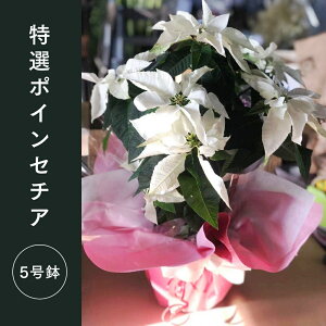 Jo[t I|CZ`A 5 FIׂ bsOt NX}X j ()