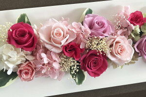 vU[uht[ Ǌ| N^O sNn NAP[Xt a  a t[ PURIZA AWg ԃMtg  j CeA Vzj ސEj JXj JƏj