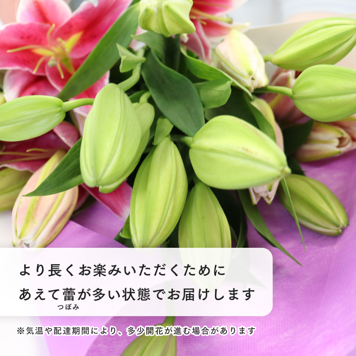 楽天市場】ゆり切り花 5本セット 色が選べる 大輪系 国産ユリ 白ユリ