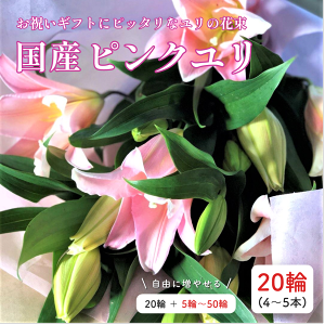 【あす楽】市場直送 ゆり20輪 最高級ピンクユリ 輪数セレクト 生花 誕生日 還暦 退職 結婚 敬老の日 大輪系 花 ギフト ゆり 白百合 百合 プレゼント お供え 贈り物 PURIZA フラワーギフト専門