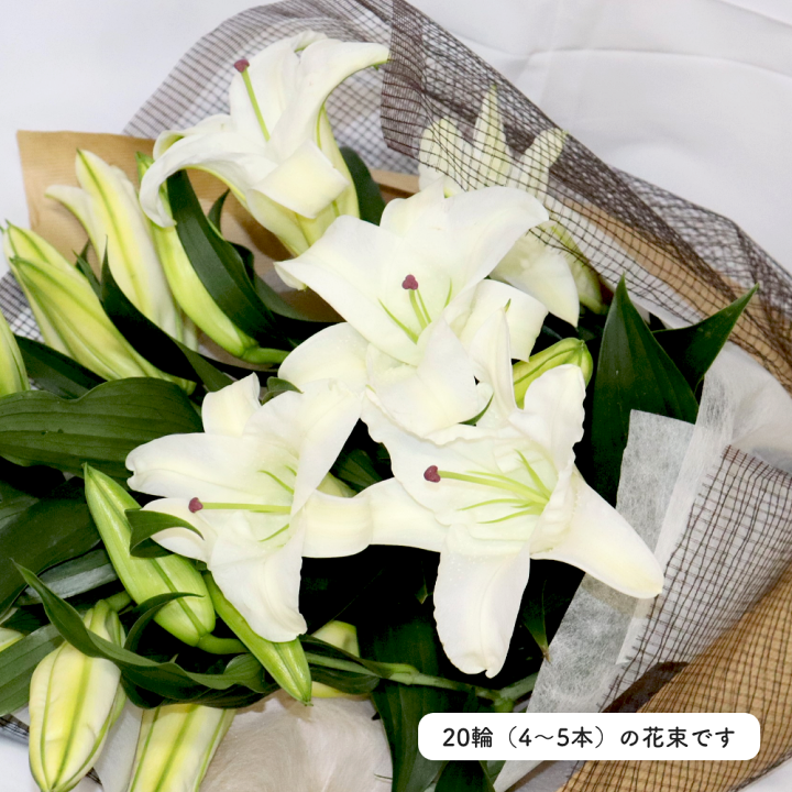 楽天市場】PURIZA 【 生花 花束 】ゆり ユリ の カサブランカ の 花束