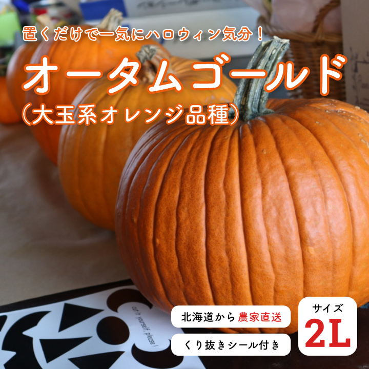 楽天市場】【生花】特大カボチャ オータムゴールド 2Lサイズ