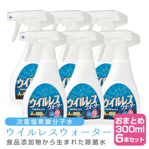 y}\ N[|zzz (×6{Zbg) ECXEH[^[i300ml) y\h ۏL f_q Lې EBX  ԕ ΍ g ItBX 
