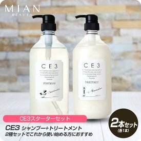 【新生活セール 全商品対象クーポン配布中】 (送料無料 セット販売）フォードヘア 化粧品 CE3 シャンプー 1000ml + トリートメント 1000g セット 【ミアンビューティー FORD CE3 シャンプー トリートメント セット 美容室 サロン専売品 弱酸性 ノンシリコン】