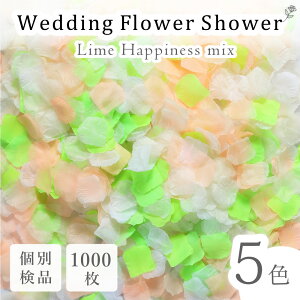 t[V[ 1000  CnslX 5FMIX CO[ pXe IW AC{[ zCg EFfBO Ԃт  EFfBO t[y^  2 p[e