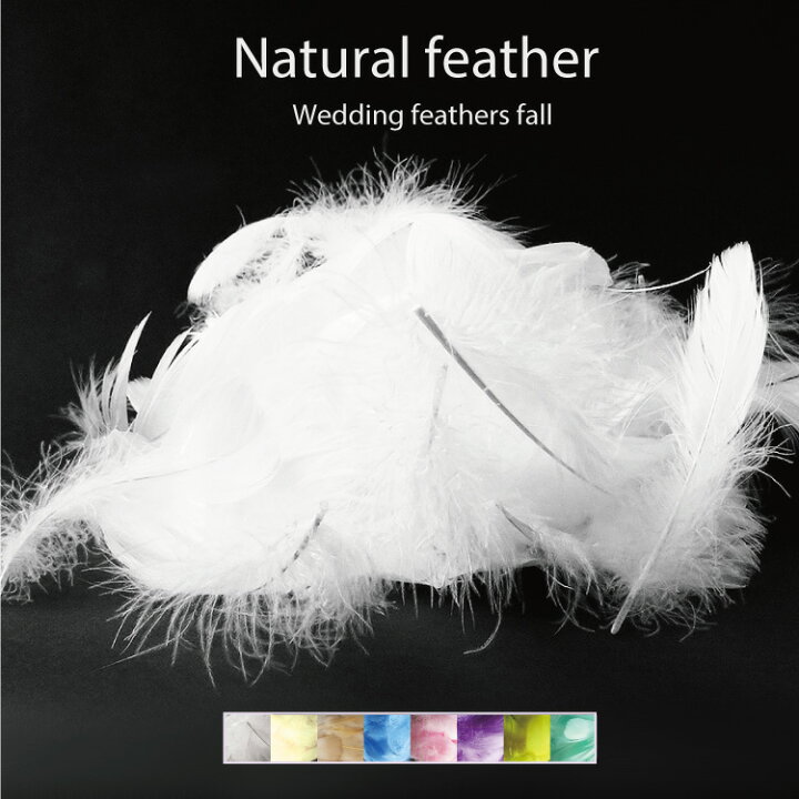 楽天市場】選べる8色！ふわふわの羽根 天然フェザー 約100枚 セット  