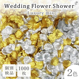 t[V[ 1000  S[hVo[ OWA[ p[eB[ EFfBO Ԃт 2F×500  k   t[y^ tHgEFfBO  a 