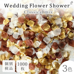 t[V[ 1000 EFfBO  NVJ 3FMIX Ԃт S[h uE ݃J[ k  EFfBO EFJXy[X  t[y^ tHgEFf