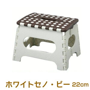 zCgZmEr[ 22cm ݑ ^̋rɁI ω׏d150kg Xebv Zmr[