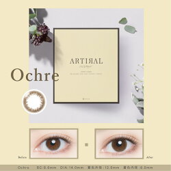 【10枚増量】アーティラルUV&モイストARTIRAL(1箱30枚入り)(あす楽送料無料ワンデーカラコンカラーコンタクト度あり度なし1日使い捨て1dayカラコンアーティラルナチュラルナチュラルコンタクトUVカットモイスト)