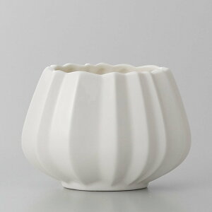  x[X Ƃ悹i Pleats(v[c)1Zbg(2_) R|[g CeA Ԏ Ԋ x[X AW   t[AWg y ̓ 