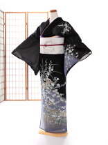 楽天市場】夏着物 訪問着 黒の通販