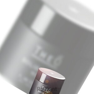 60g LebeL WI bNX \bhz[hwAX^COx THEO wAX^CO wAbNX Y jp