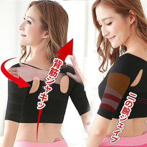 ␮ ̘r VFCp[  Lwxg Lw p fB[Xp p Ci[ pxg ␳ w؃T|[g