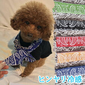 N[[XJ[t  lRL Ђ N[lbN N[o_i 1[g M \h   N[ ObY lbN o_i t ΍ p ^I L p ⊴^I 