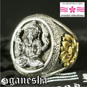 yorientalvibrationszCh_ Kl[V IiOMj [^X Vo[ Oiwցj Ȃ]E IG^oCu[Vyz