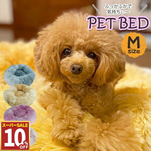 y10%OFF 111:59܂Łz ybg xbh L xbh MTCY a50cm  NbV ܂ xbh ~pxbh ی^ ӂӂ C zCgsN u[O[ CG[uE킢 x