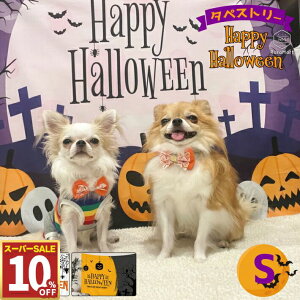 y10%OFF 111:59܂Łz nEB  ^yXg[ wiz 73x95cm ڂ   RXv  L q ybg p[eB[  킢 ^yXg[ Ǌ|/nEB[ ^yXg