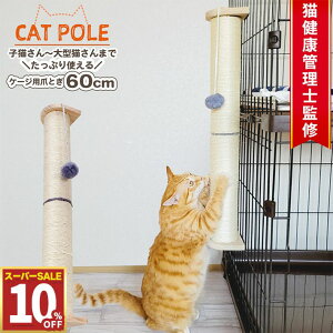 y10%OFF 111:59܂Łz Lp P[Wp ܂Ƃ|[ O 63×10cm M[TCY̒2{ ^LEqLΉ TCU VR ȒPt ւc ւ\ c^ LbgXN