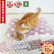 6H限定スタートダッシュ|◆楽天 ランキング 1位◆ 猫 ベッド 冬 ペットベッド 猫 クッション ベッド ふわ…