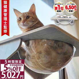 【10%OFF 11日1:59まで】 ◆楽天 ランキング 1位◆ 猫 窓 ハンモック 宇宙船 ベッド 猫ベッド 吸盤 取り付け ねこ スケルトン ベッド 強力吸盤 耐荷重 20kg 半球 透明 壁 取り付けタイプ 39x39cm 春 夏 秋 冬 ドーム POOKIE/吸盤スケルトンハンモック