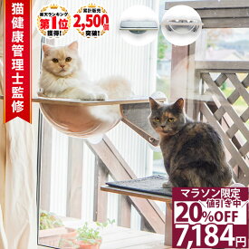 ＼5日20時～クーポン11%OFF／【15%OFF 11日1:59まで】 猫 ハンモック 窓 ベッド ハンモック 吸盤 猫ベッド 窓用 ハンモック 宇宙船 窓ベッド キャットステップ スケルトンハンモック セット 耐荷重 20kg スケルトンハンモックシリーズ /ステップ付き吸盤スケルトンハンモック