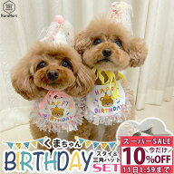 ＼スーパーSALE特別価格／ペット 誕生日 犬 猫 帽子 スタイ セット ハッピースタイ　コスチューム 衣装 …