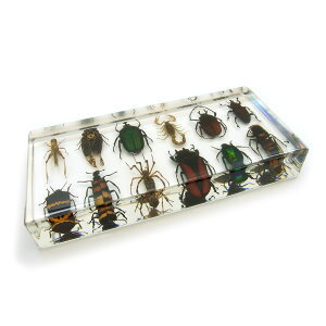 y[֕szׁ@W{(12)yT\ENK^EZ~ERIMENEJV...zHL2002 //b/W//RNV/u/fBXvC/Ȋw/C