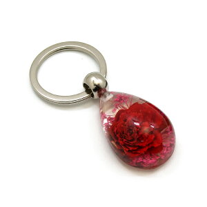 ~j~jFlower Keyring yKN10 (SSTCY)zSS10500 L[z_[//ANZT[p[c/y_ggbvɂ/Xgbv/COG/L[O/L[`[/W/
