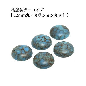 5y J{Vy^[RCY/12mmہzz ANZT[p[c/J{VJbg/lbNX/`[J[/wbh/y_g/ANZT[//\t///CfBA/