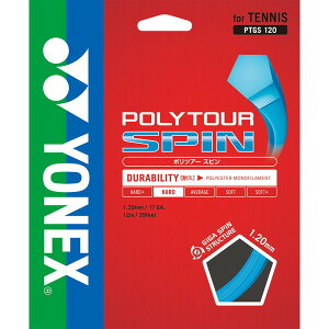 yViz YONEX/lbNX PTGS120-060 |cA[ Xs 120 dejXpKbg Rogu[