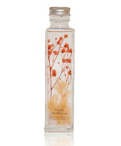 n[oE  Mtg r vU[uht[ LEDCg t fUC v[g t[  T{hDt[ t[Mtg t[AWg ̓Mtg ̓