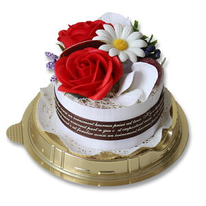 ̓  Mtg \[vt[  Mtg T{hDt[ JbvP[L fUC v[g t[ Ό t  T{hDt[ t[Mtg t[AW