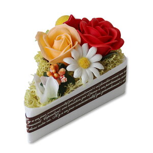 ̓  Mtg \[vt[  Mtg T{hDt[ s[XP[L fUC v[g t[ Ό t  T{hDt[ t[Mtg t[AW